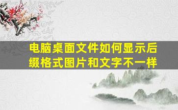 电脑桌面文件如何显示后缀格式图片和文字不一样