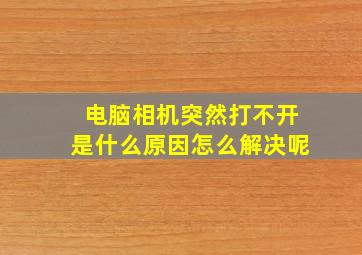 电脑相机突然打不开是什么原因怎么解决呢