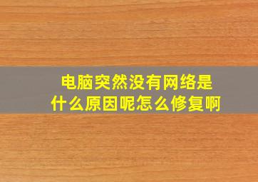 电脑突然没有网络是什么原因呢怎么修复啊