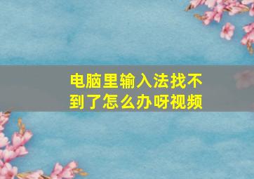 电脑里输入法找不到了怎么办呀视频