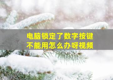 电脑锁定了数字按键不能用怎么办呀视频