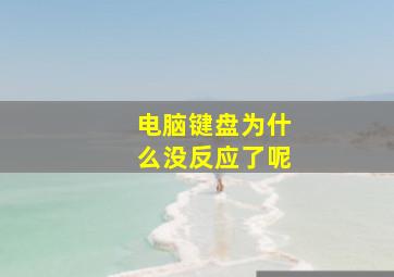 电脑键盘为什么没反应了呢