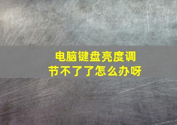 电脑键盘亮度调节不了了怎么办呀