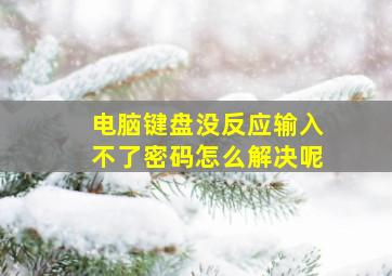 电脑键盘没反应输入不了密码怎么解决呢