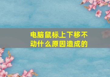 电脑鼠标上下移不动什么原因造成的