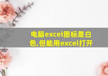 电脑excel图标是白色,但能用excel打开