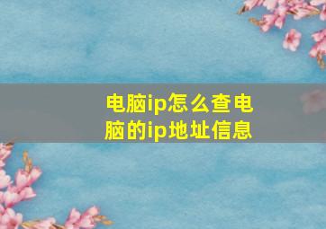 电脑ip怎么查电脑的ip地址信息