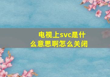 电视上svc是什么意思啊怎么关闭