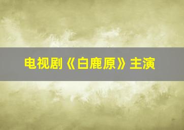 电视剧《白鹿原》主演