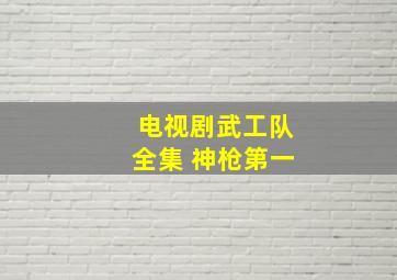 电视剧武工队全集 神枪第一