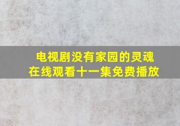 电视剧没有家园的灵魂在线观看十一集免费播放