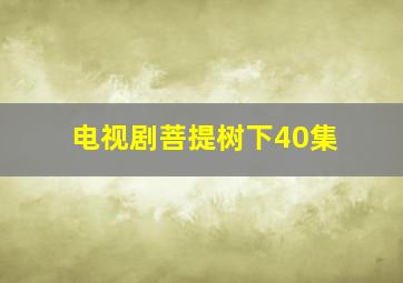 电视剧菩提树下40集