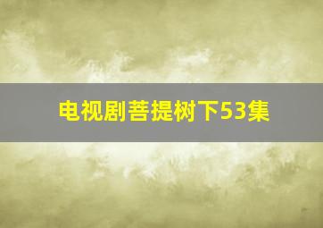 电视剧菩提树下53集