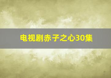 电视剧赤子之心30集