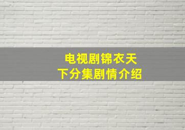 电视剧锦衣天下分集剧情介绍