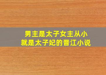 男主是太子女主从小就是太子妃的晋江小说