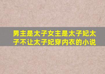 男主是太子女主是太子妃太子不让太子妃穿内衣的小说