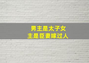 男主是太子女主是臣妻嫁过人