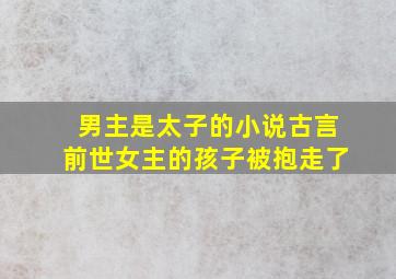 男主是太子的小说古言前世女主的孩子被抱走了