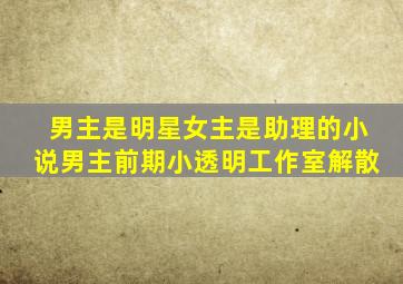 男主是明星女主是助理的小说男主前期小透明工作室解散