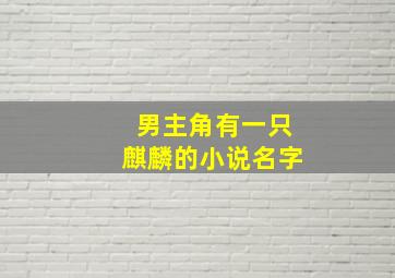 男主角有一只麒麟的小说名字