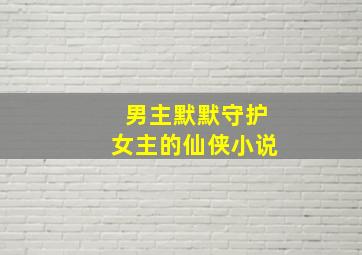 男主默默守护女主的仙侠小说