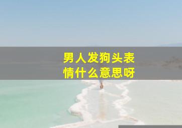 男人发狗头表情什么意思呀