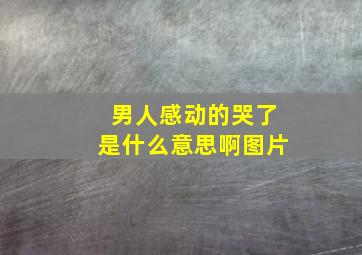 男人感动的哭了是什么意思啊图片