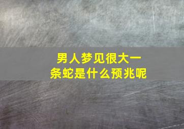 男人梦见很大一条蛇是什么预兆呢