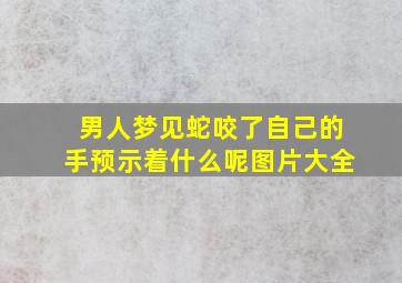 男人梦见蛇咬了自己的手预示着什么呢图片大全