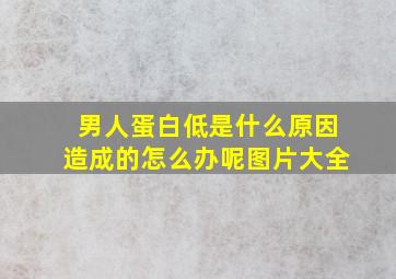 男人蛋白低是什么原因造成的怎么办呢图片大全