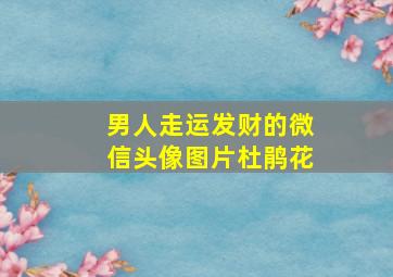 男人走运发财的微信头像图片杜鹃花