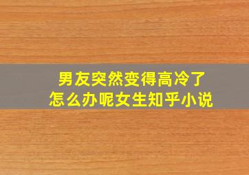 男友突然变得高冷了怎么办呢女生知乎小说