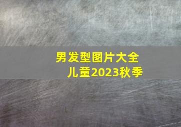 男发型图片大全儿童2023秋季