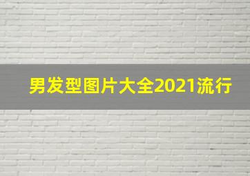 男发型图片大全2021流行