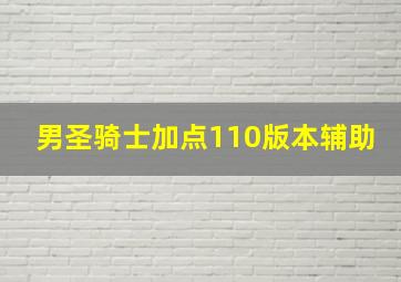 男圣骑士加点110版本辅助