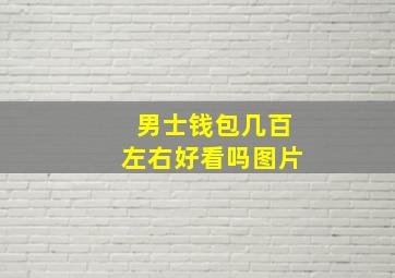 男士钱包几百左右好看吗图片