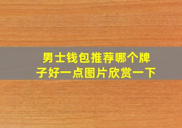 男士钱包推荐哪个牌子好一点图片欣赏一下