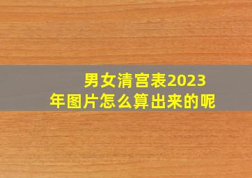 男女清宫表2023年图片怎么算出来的呢