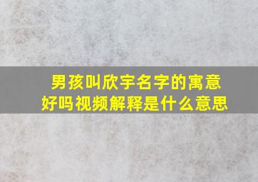 男孩叫欣宇名字的寓意好吗视频解释是什么意思