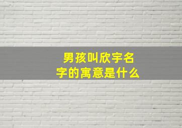 男孩叫欣宇名字的寓意是什么