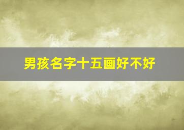 男孩名字十五画好不好