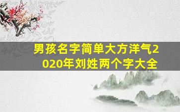 男孩名字简单大方洋气2020年刘姓两个字大全