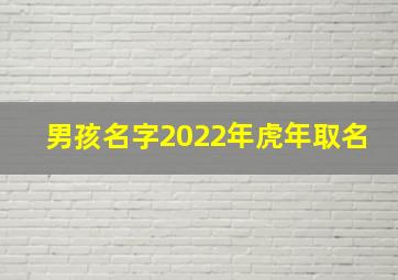 男孩名字2022年虎年取名