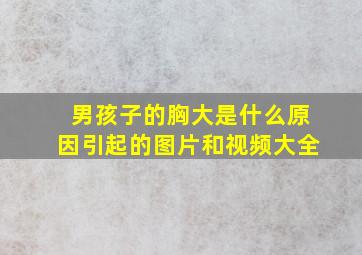 男孩子的胸大是什么原因引起的图片和视频大全