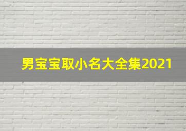 男宝宝取小名大全集2021