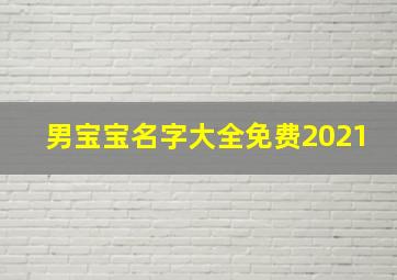 男宝宝名字大全免费2021