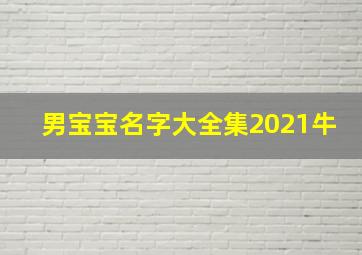 男宝宝名字大全集2021牛