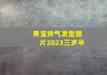 男宝帅气发型图片2023三岁半