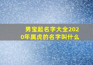 男宝起名字大全2020年属虎的名字叫什么